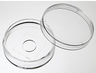 35mm玻片帶格子的玻底皿(格子在里面)格子大小0.6*0.6mm