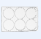 超低吸附6孔細胞培養(yǎng)板