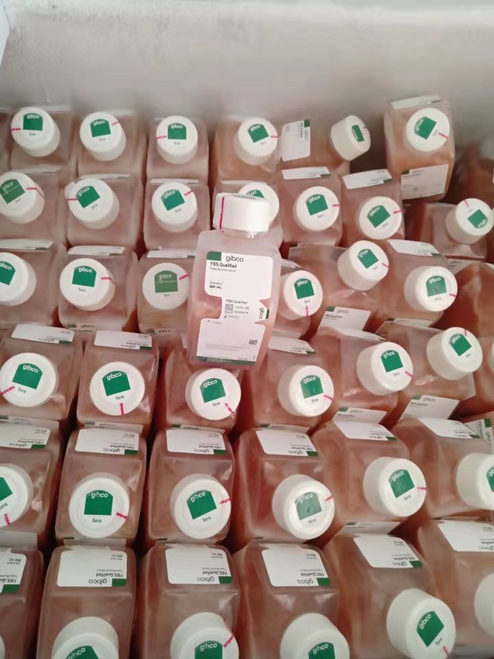 DMEM/高糖(含高糖、L-谷氨酰胺、酚紅，不含丙酮酸鈉、HEPES、磷酸鹽)產(chǎn)品已下架